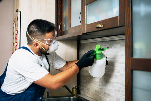 Best Commercial Pest Control Services  in Intercourse, PA