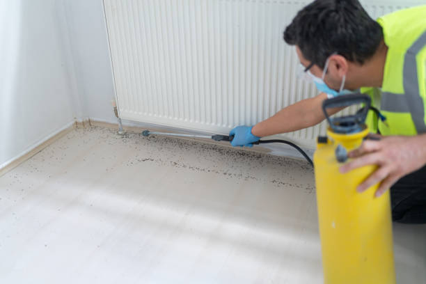 Best Local Pest Control Services  in Intercourse, PA