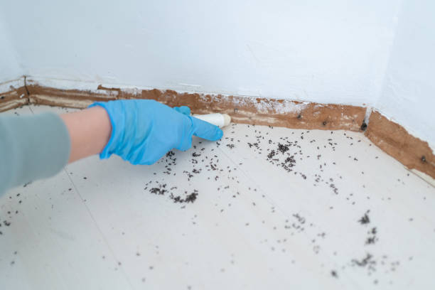 Best Mosquito Control Services  in Intercourse, PA