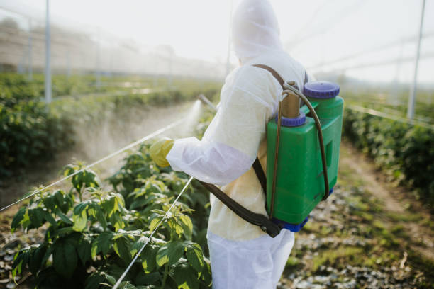 Best Best Pest Control Companies  in Intercourse, PA